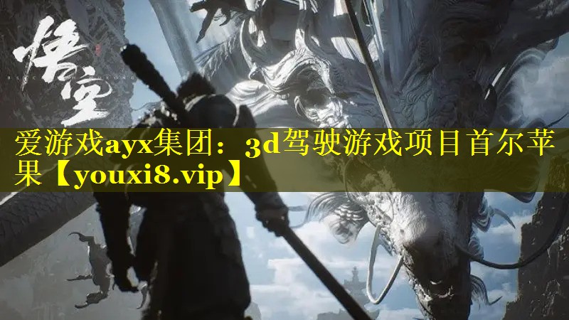 3d驾驶游戏项目首尔苹果 3d驾驶游戏项目首尔苹果